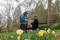 8.Surprise Proposal. Temple of Minerva & Botanical Gardens. Beata Cosgrove Photography