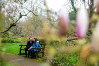 13.Surprise Proposal. Temple of Minerva & Botanical Gardens. Beata Cosgrove Photography