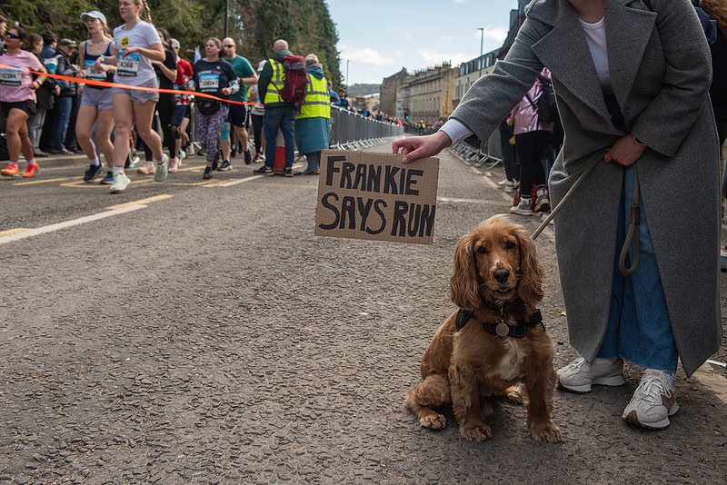 Picture of a dog with a sign saying Frankie says Run. Bath Marathon 2026. Beata Cosgrove Photography
