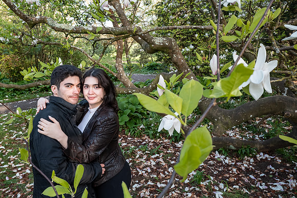 Bath surprise proposal. Botanical Gardens. Beata Cosgrove Photography