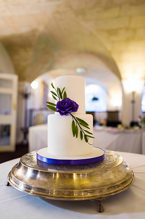 3. Sarahssugarcraft. Beata Cosgrove Photography copy