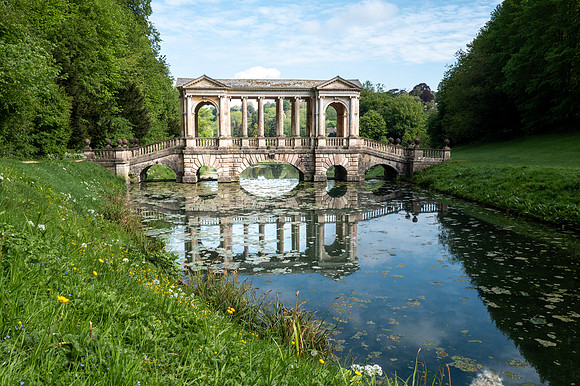 Palladian Bridge surprise proposal. Bath. Beata Cosgrove Photography