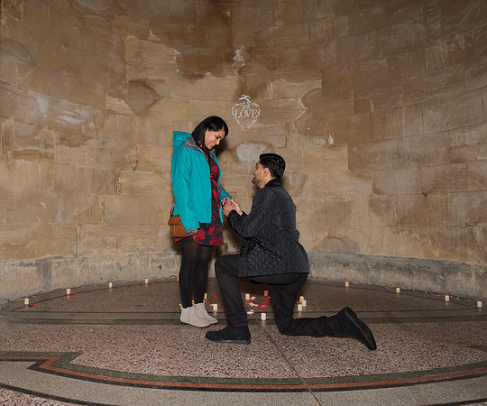 Surprise proposal. Parade Gardens. Bath engagement.DSC_3471