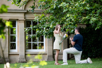 Temple of Minerva Surprise Proposal