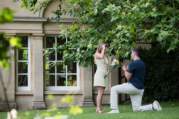 Temple of Minerva Surprise Proposal