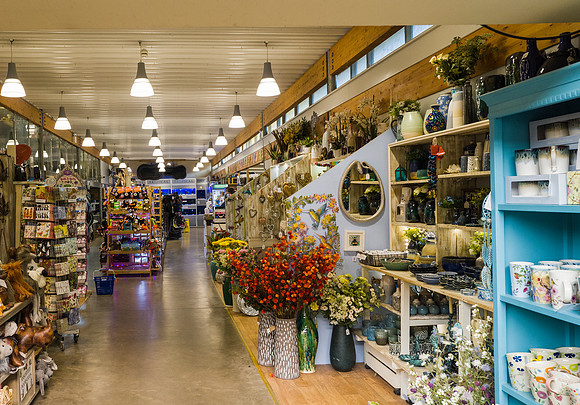 36. Prior Park Garden Centre. Beata Cosgrove Photography