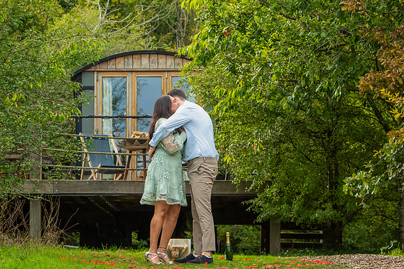 P & S proposal pictures. Beata Cosgrove Photography