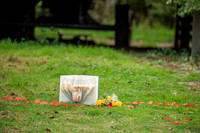 P & S proposal pictures. Beata Cosgrove Photography