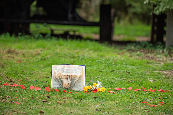 P & S proposal pictures. Beata Cosgrove Photography