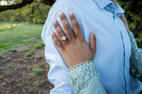 P & S proposal pictures. Beata Cosgrove Photography