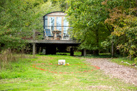 P & S proposal pictures. Beata Cosgrove Photography