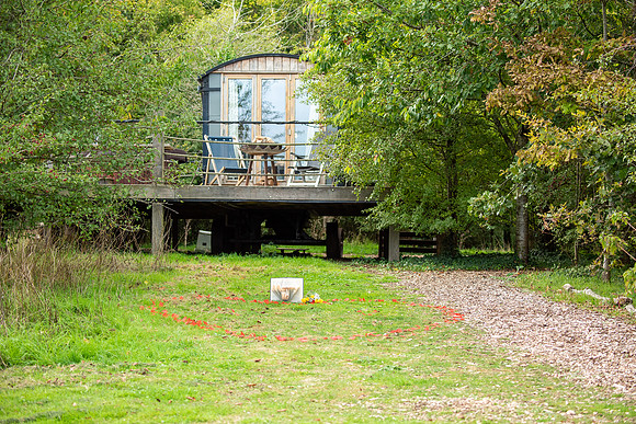 P & S proposal pictures. Beata Cosgrove Photography