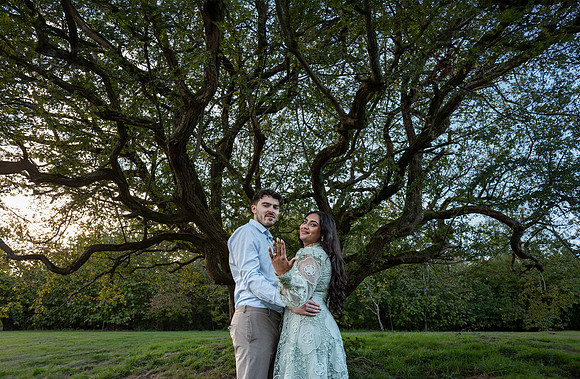 P & S proposal pictures. Beata Cosgrove Photography
