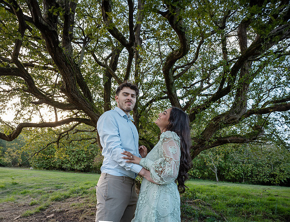 P & S proposal pictures. Beata Cosgrove Photography