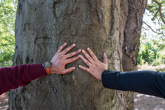 68. Amit & Ishita proposal at Alexandra Park view point. Bath. Beata Cosgrove Photography