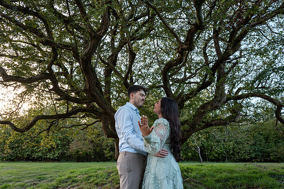 P & S proposal pictures. Beata Cosgrove Photography