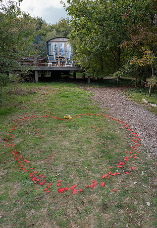 P & S proposal pictures. Beata Cosgrove Photography