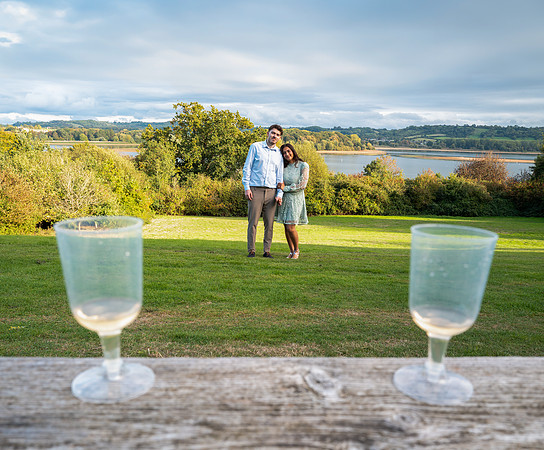 P & S proposal pictures. Beata Cosgrove Photography