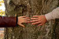 Bath Proposal. Alexandra Park. Beata Cosgrove Photography