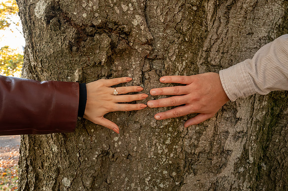 Bath Proposal. Alexandra Park. Beata Cosgrove Photography
