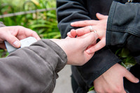 1. Botanical Gardens-Bath Proposal. Beata Cosgrove Photography