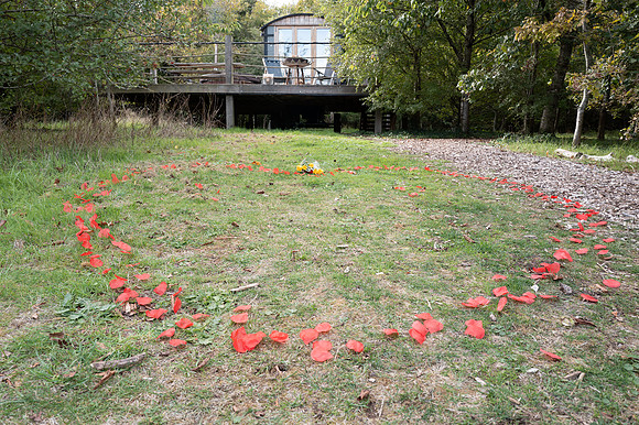 P & S proposal pictures. Beata Cosgrove Photography