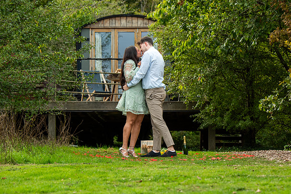 P & S proposal pictures. Beata Cosgrove Photography