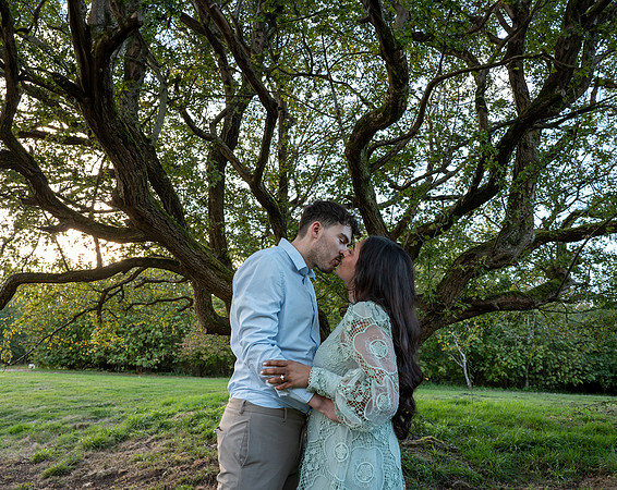 P & S proposal pictures. Beata Cosgrove Photography