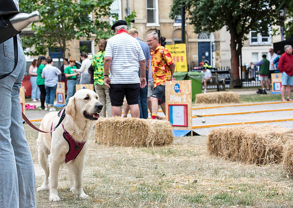 3.Bath Boules. Beata Cosgrove Photography