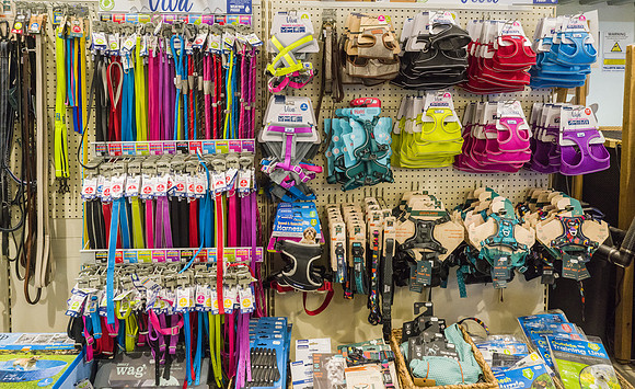 33. Prior Park Garden Centre. Beata Cosgrove Photography