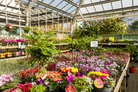 20. Prior Park Garden Centre. Beata Cosgrove Photography