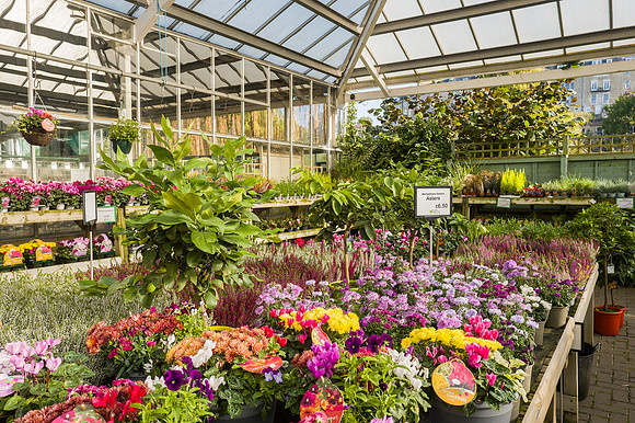 20. Prior Park Garden Centre. Beata Cosgrove Photography