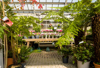 8. Prior Park Garden Centre. Beata Cosgrove Photography