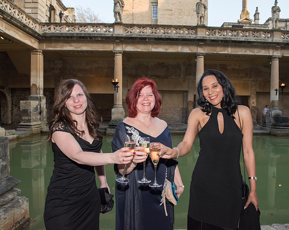 11.Awards.Green Energy. Beata Cosgrove Photography