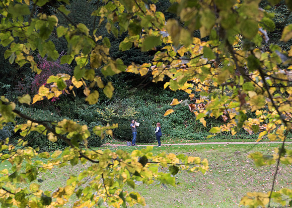 17.Secret Proposal. Prior Park. National Trust.Beata Cosgrove Photography