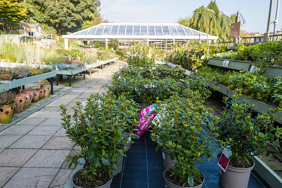 10. Prior Park Garden Centre. Beata Cosgrove Photography