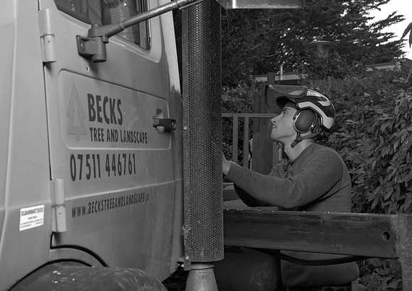2023.11 Becks Tree & Landscape.  Beata_Cosgrove_Photography_b&w_4670