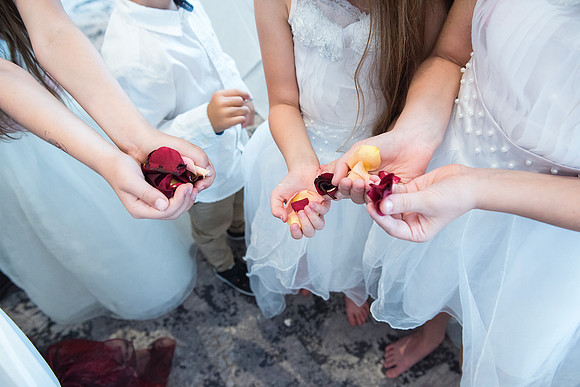 Guildhall & The Roman Baths wedding pictures.Biodegradable Wedding Confetti picture. Beata Cosgrove Photography