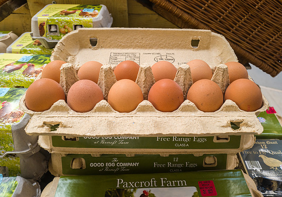37. Prior Park Garden Centre. Beata Cosgrove Photography