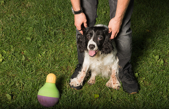 5.Family&Dog photo shoot.Beata Cosgrove Photography