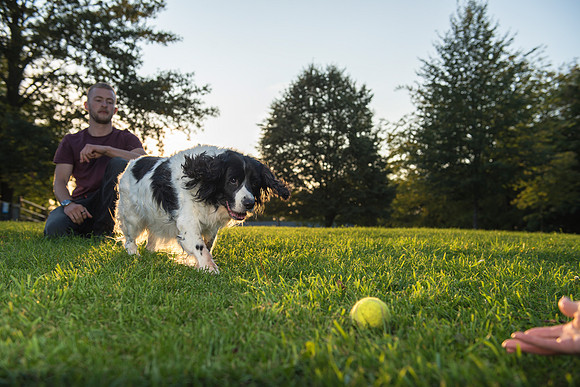 16.Family&Dog photo shoot.Beata Cosgrove Photography
