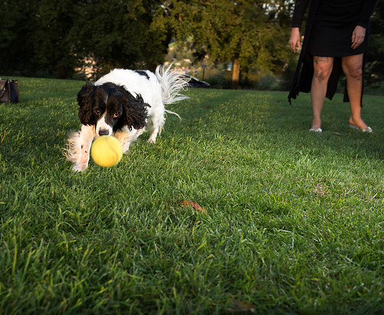 20.Family&Dog photo shoot.Beata Cosgrove Photography