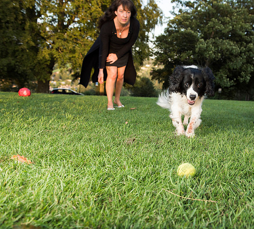 18.Family&Dog photo shoot.Beata Cosgrove Photography