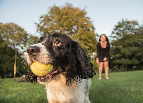 17.Family&Dog photo shoot.Beata Cosgrove Photography