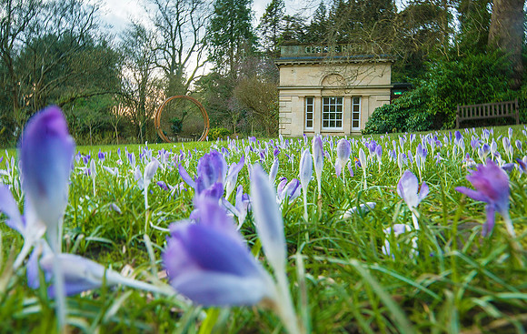 Spring at Temple of Minerva. Beata Cosgrove Photography
