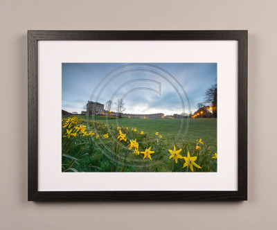 Bath Photo Prints. Spring at The Royal Crescent. Bath