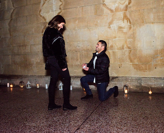 Secret proposal at Parade Gardens. Bath. Somerset. Bath photographer.DSC_6657