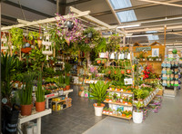 5. Prior Park Garden Centre. Beata Cosgrove Photography