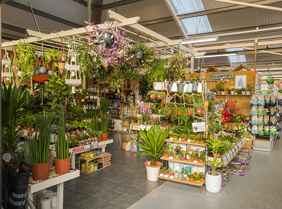 5. Prior Park Garden Centre. Beata Cosgrove Photography