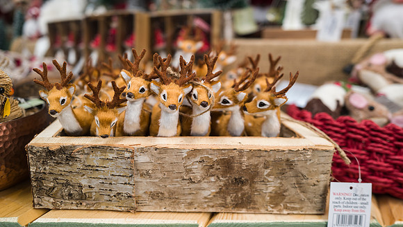 41. Prior Park Garden Centre. Beata Cosgrove Photography